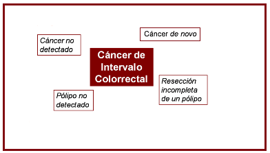 Interval cancers in a population-based screening program for colorectal cancer in Catalonia