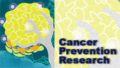 Longitudinal Adherence to Immunochemical Fecal Occult Blood Testing vs Guaiac-based FOBT in an Organized Colorectal Cancer Screening Program