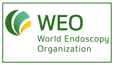 Participation of the UCC in the World Endoscopy Organization Colorectal Cancer Screening Committee Webinars