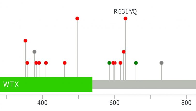 Exome Sequencing Reveals AMER1 as a Frequently Mutated Gene in Colorectal Cancer