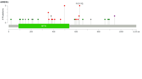 Exome Sequencing Reveals AMER1 as a Frequently Mutated Gene in Colorectal Cancer