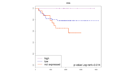 New publication: Mutanome and expression of immune response genes in microsatelite stable colon cancer